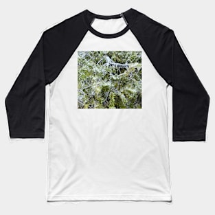 Frozen Canadian Hemlock - Freezing Rain in the Spring Baseball T-Shirt